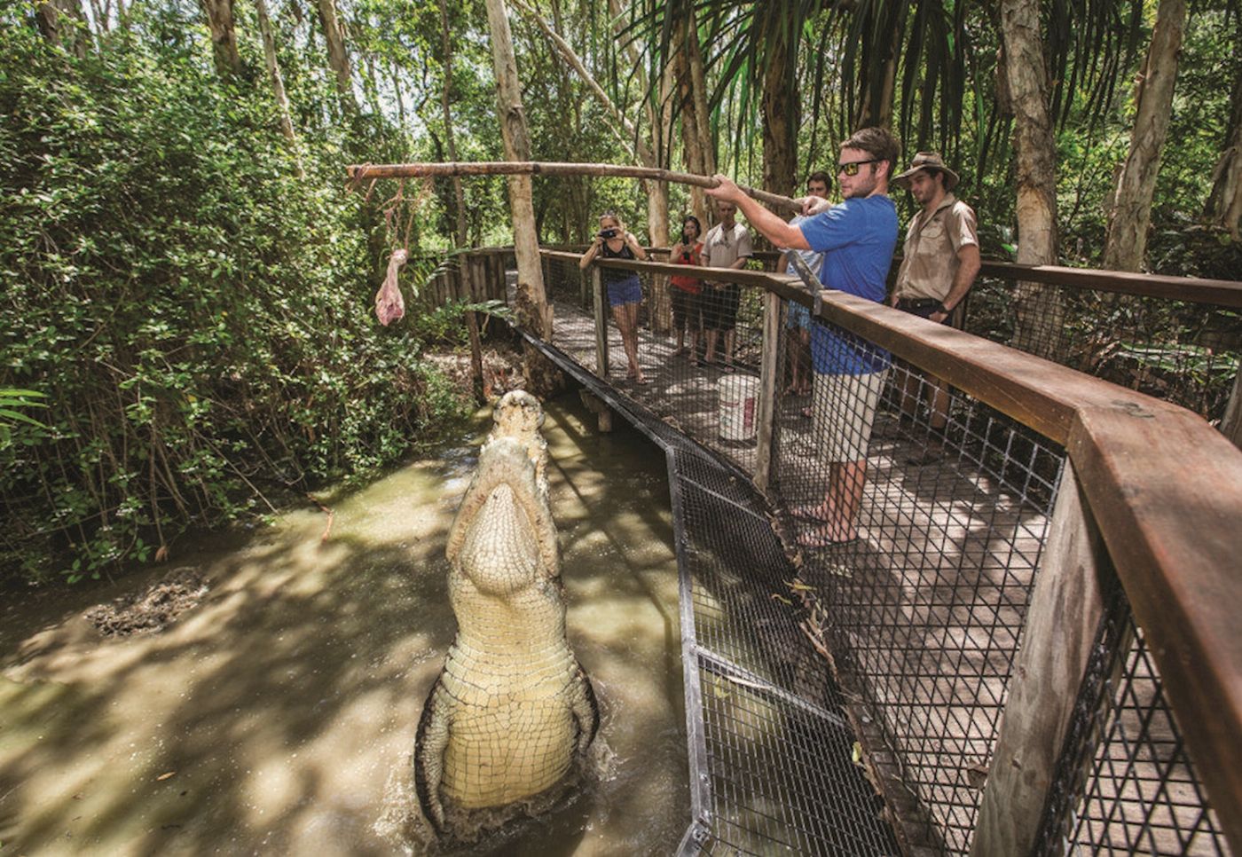 Hartley's Crocodile Adventures Entry + Big Croc Feed (No transfers)