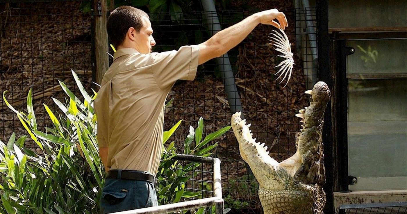 Hartley's Crocodile Adventures Entry + Big Croc Feed with Return Transfers ex Cairns & Cairns Northern Beaches