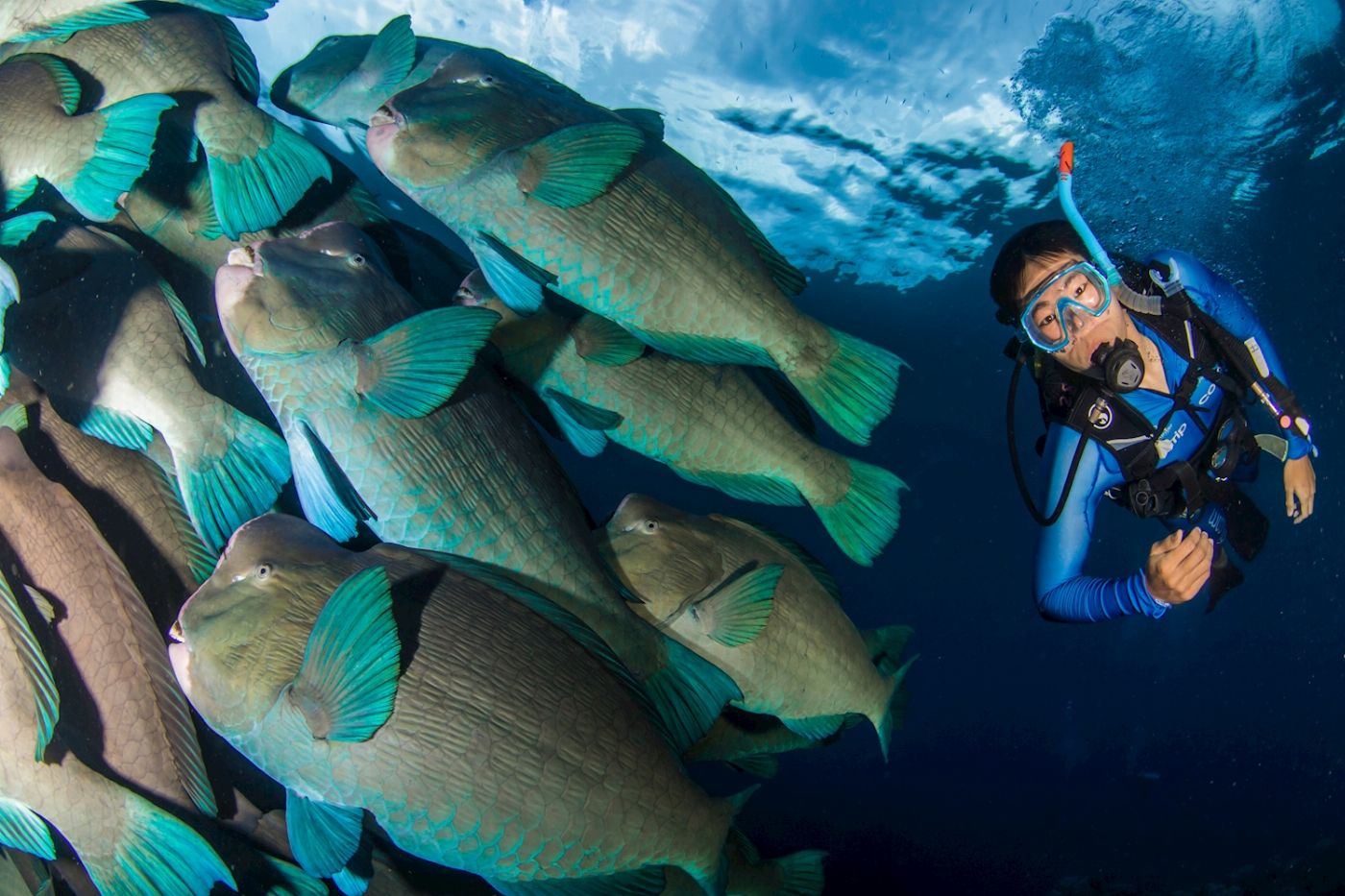 Reef Encounter Certified Dive Adventure 3D/2N (7 Day Dives, 2 Night Dives)
