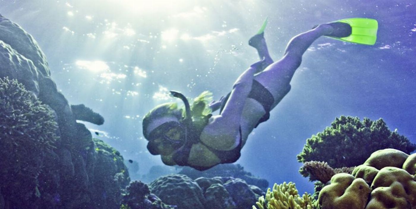 Reef Encounter Snorkel Adventure 3D/2N
