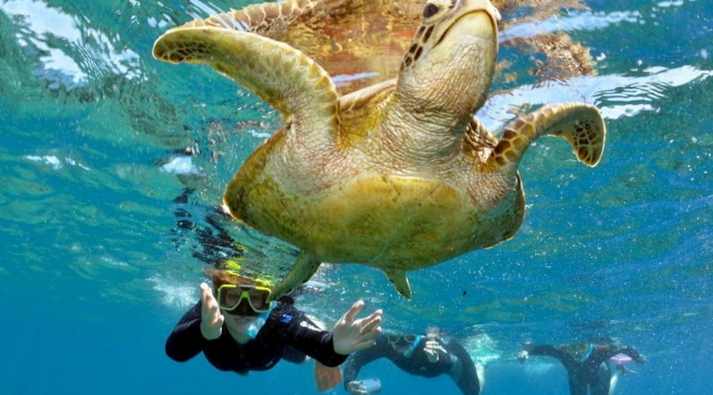 Reef Encounter Snorkel Adventure 4D/3N