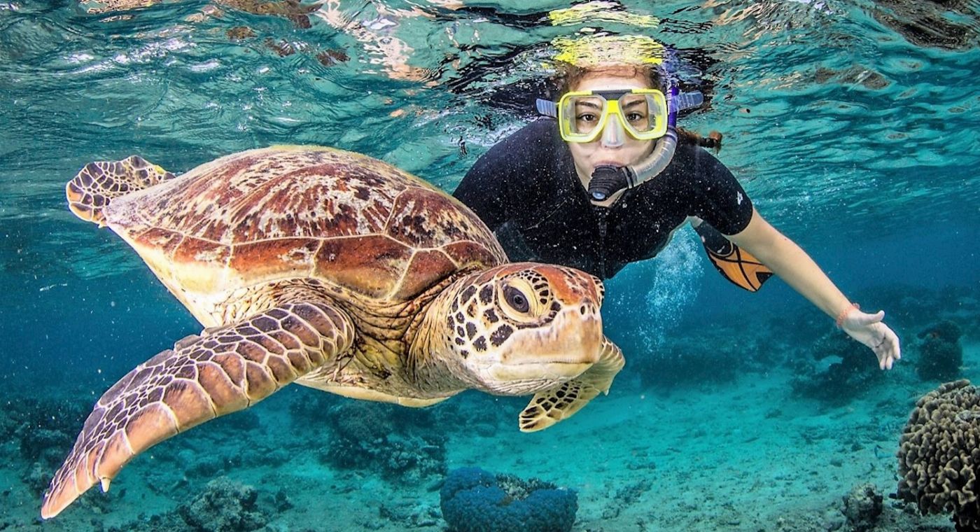 Reef Encounter Snorkel Adventure 4D/3N