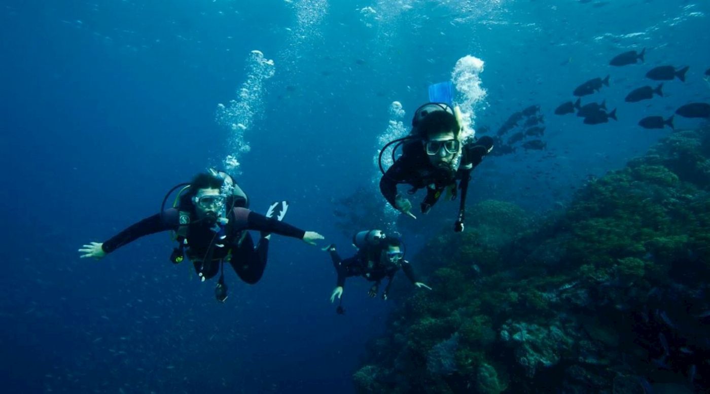 Reef Encounter Intro / Resort Dive Adventure 3D/2N (7 Day Dives)
