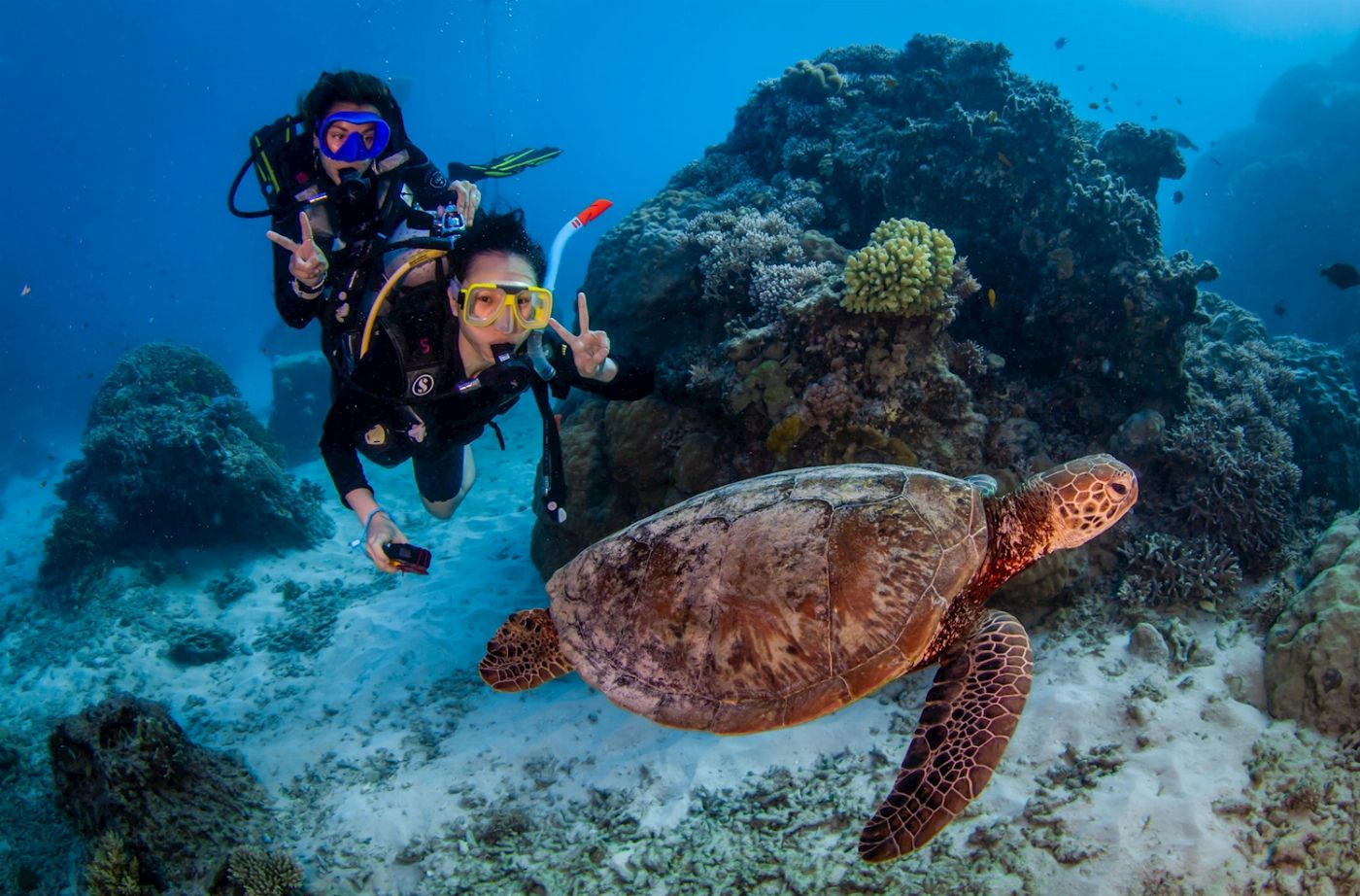 Reef Encounter Intro / Resort Dive Adventure 3D/2N (7 Day Dives)