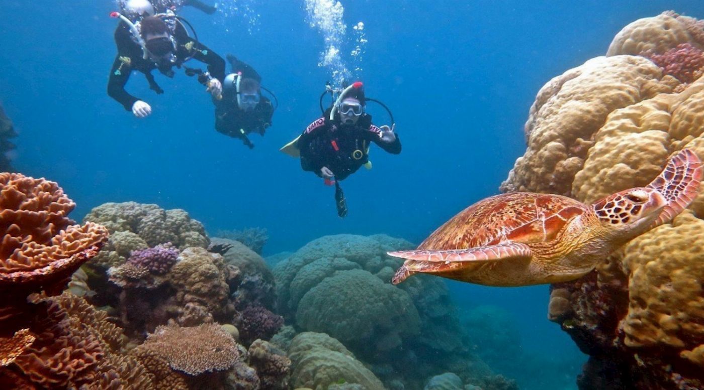 Reef Encounter Intro / Resort Dive Adventure 4D/3N (10 Day Dives)