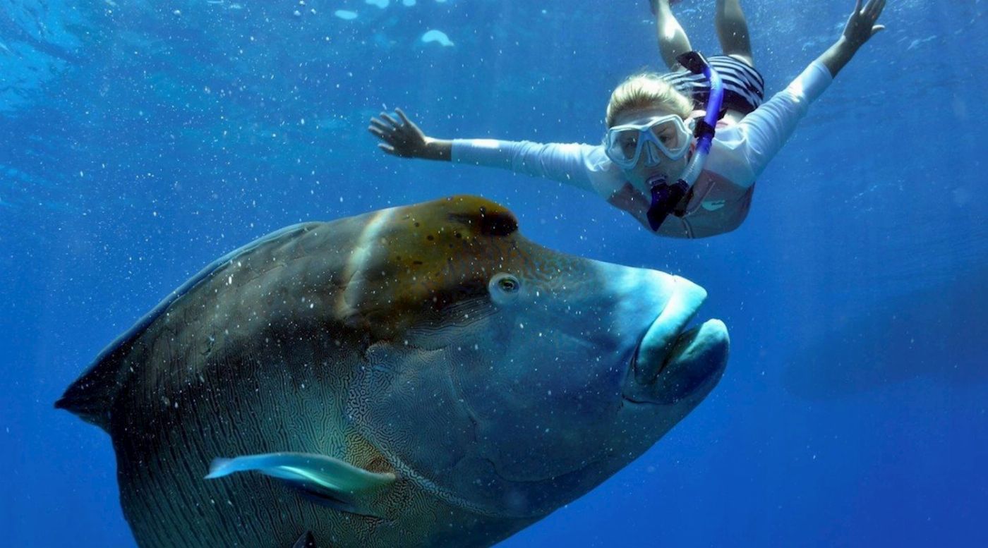 Reef Encounter Intro / Resort Dive Adventure 4D/3N (10 Day Dives)