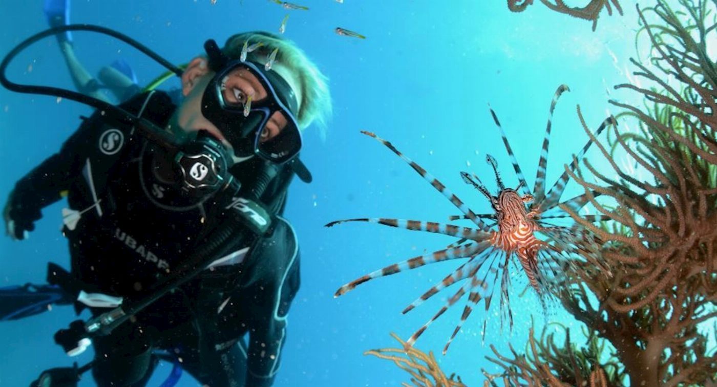 Reef Encounter Certified Dive Adventure 4D/3N (10 Day dives, 3 Night Dives)