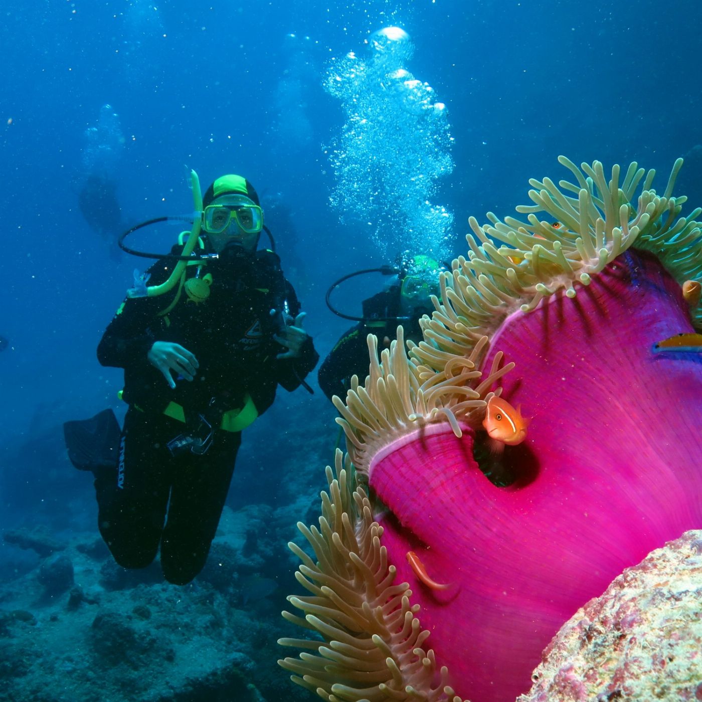 Poseidon Cruises Poseidon Outer Reef Day Trip (Introductory Dive)