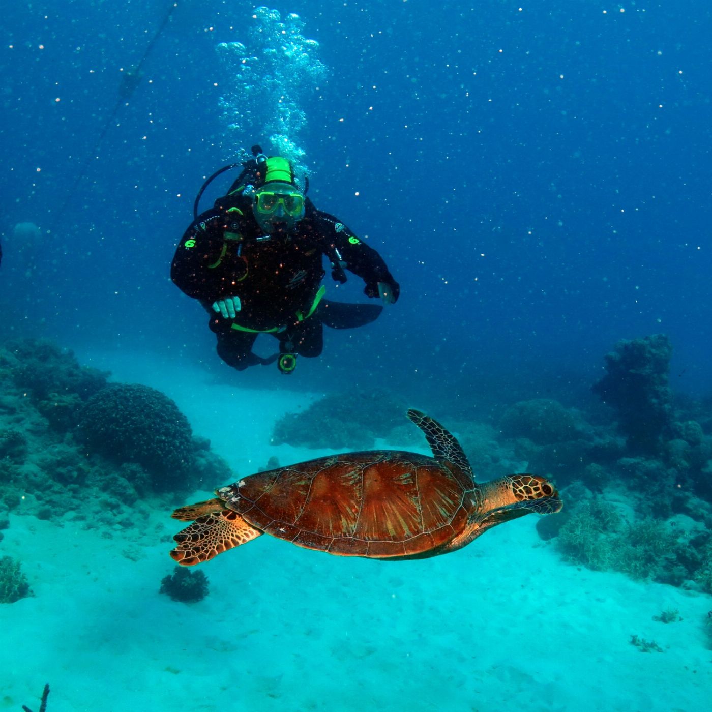 Poseidon Cruises Poseidon Outer Reef Day Trip (Introductory Dive)