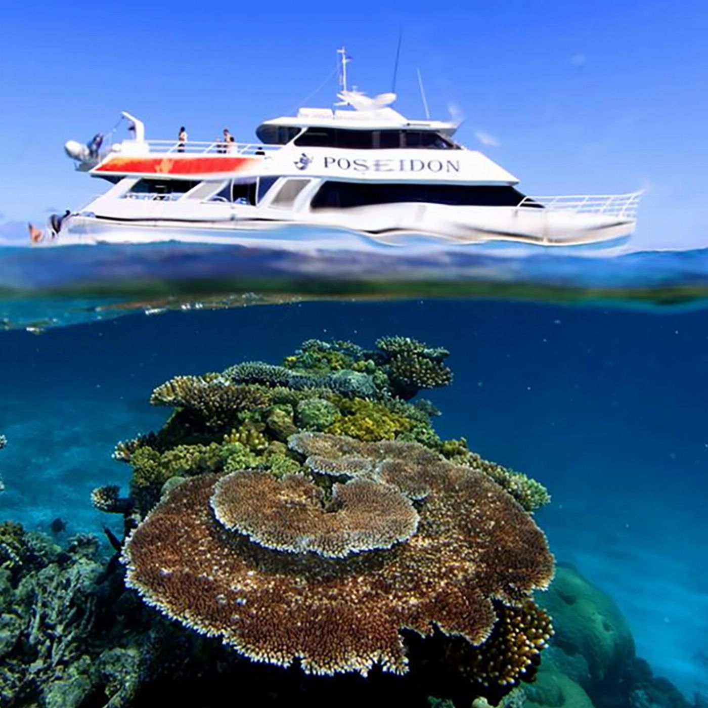 Poseidon Cruises Poseidon Outer Reef Day Trip (Introductory Dive)