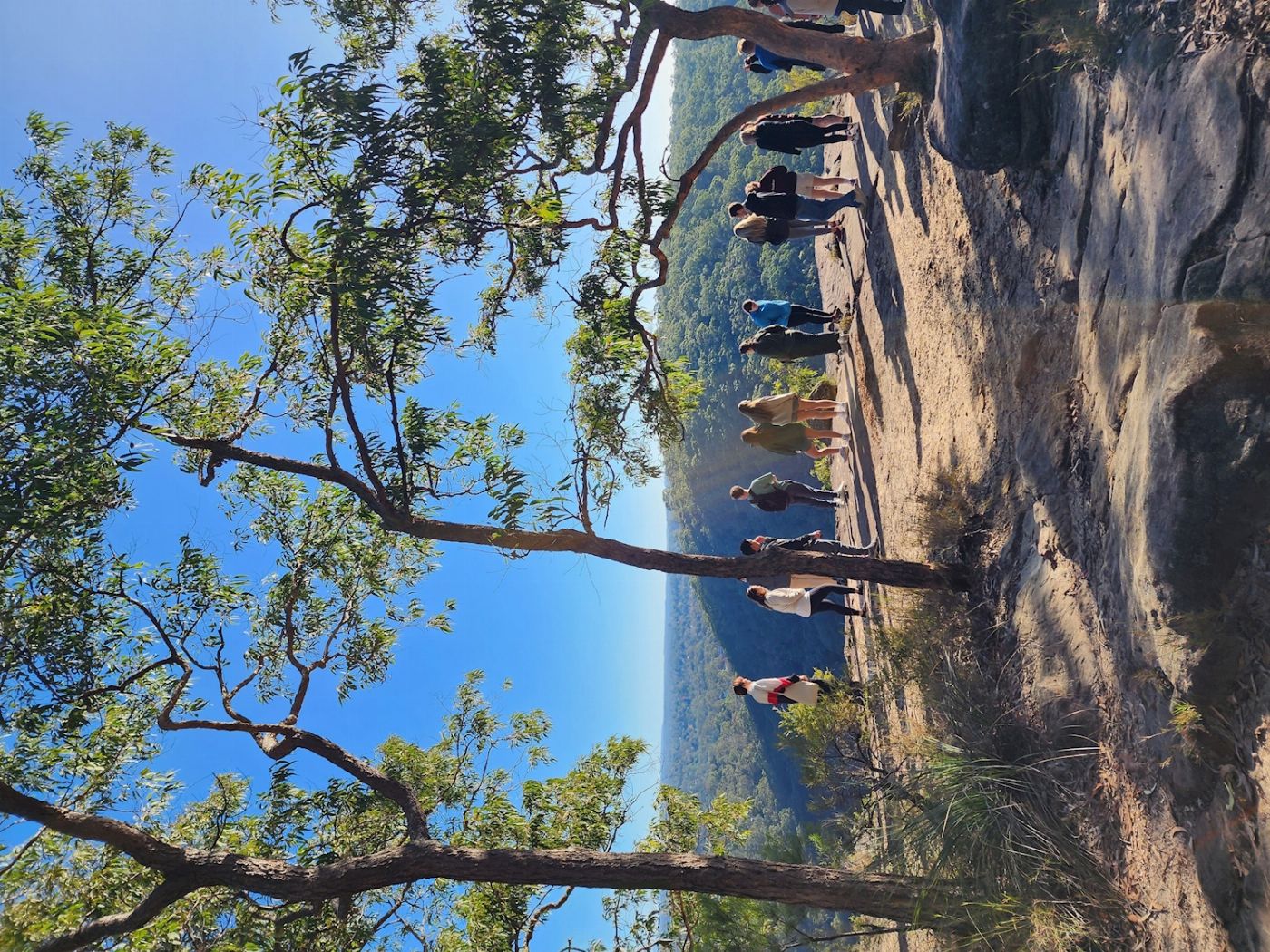 Coast Warriors Blue Mountains Day Trip with Lunch & waterfalls walk (No animal captivity)
