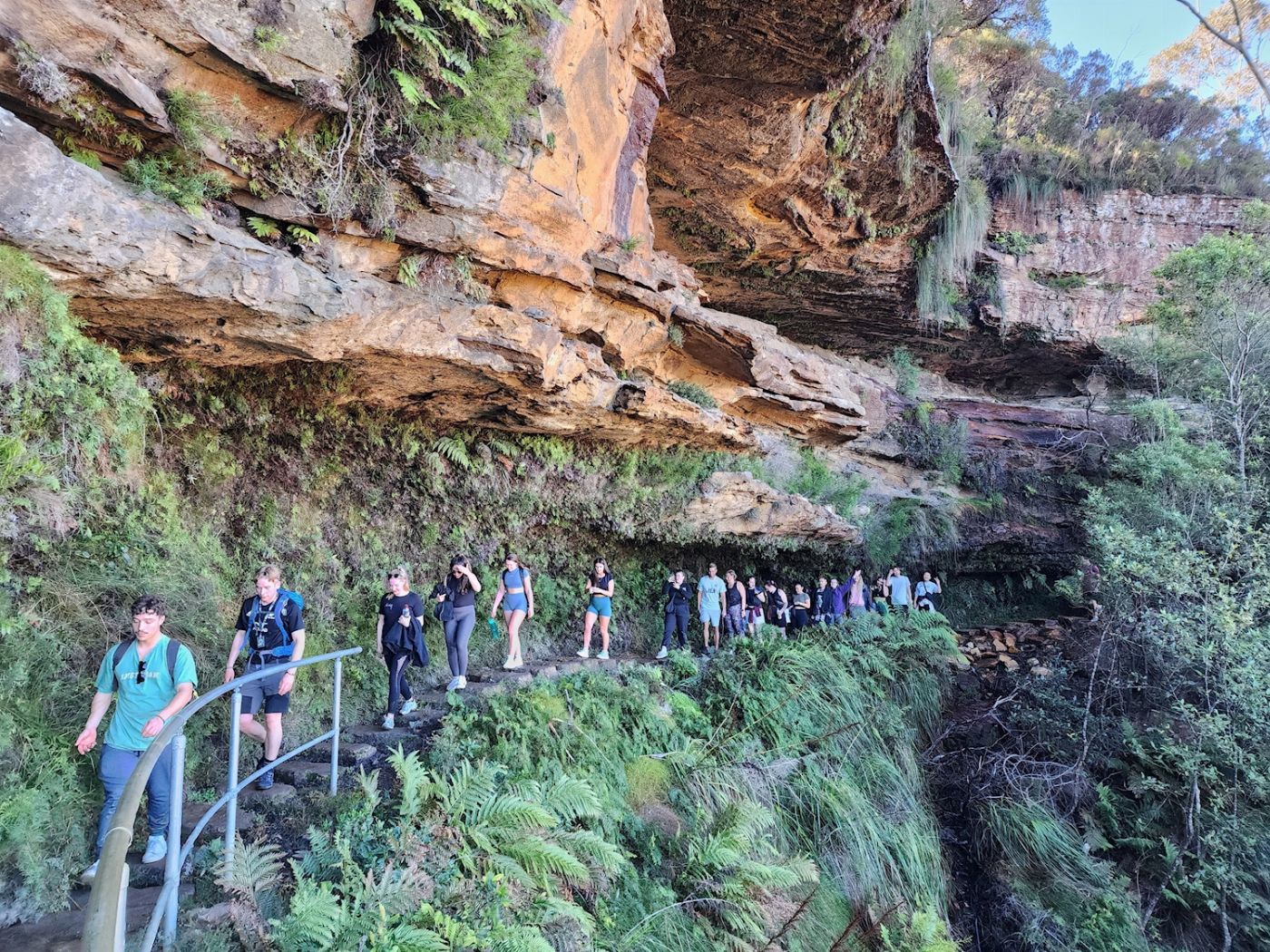 Coast Warriors Blue Mountains Day Trip with Lunch & waterfalls walk (No animal captivity)