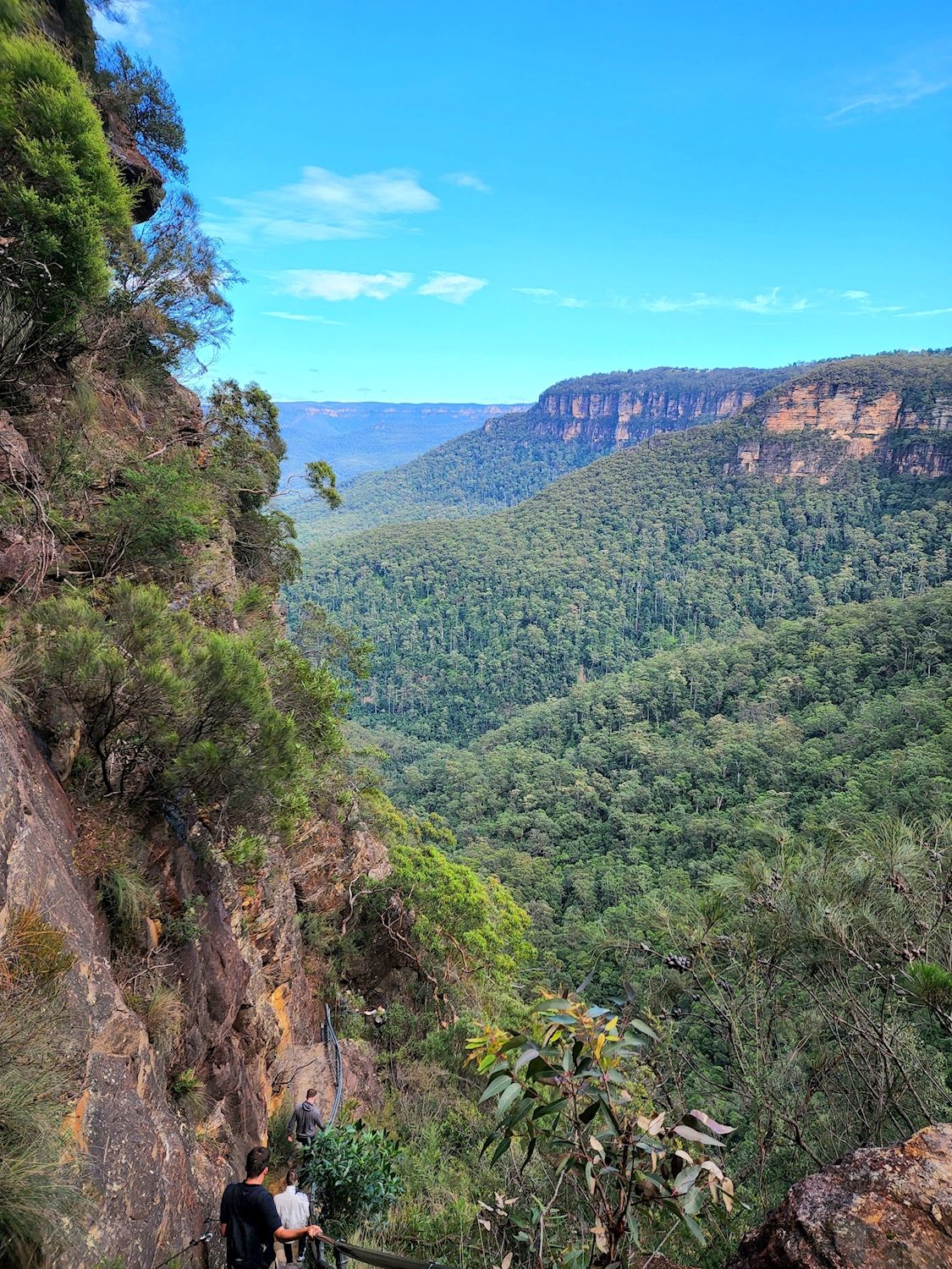 Coast Warriors Blue Mountains Day Trip with Lunch & waterfalls walk (No animal captivity)