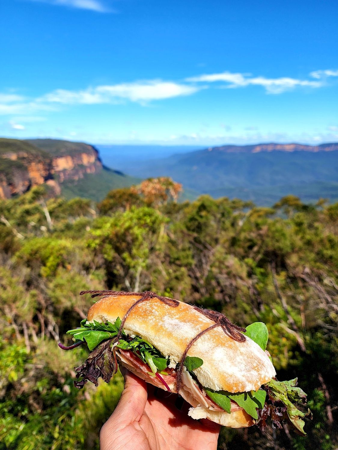 Coast Warriors Blue Mountains Day Trip with Lunch & waterfalls walk (No animal captivity)