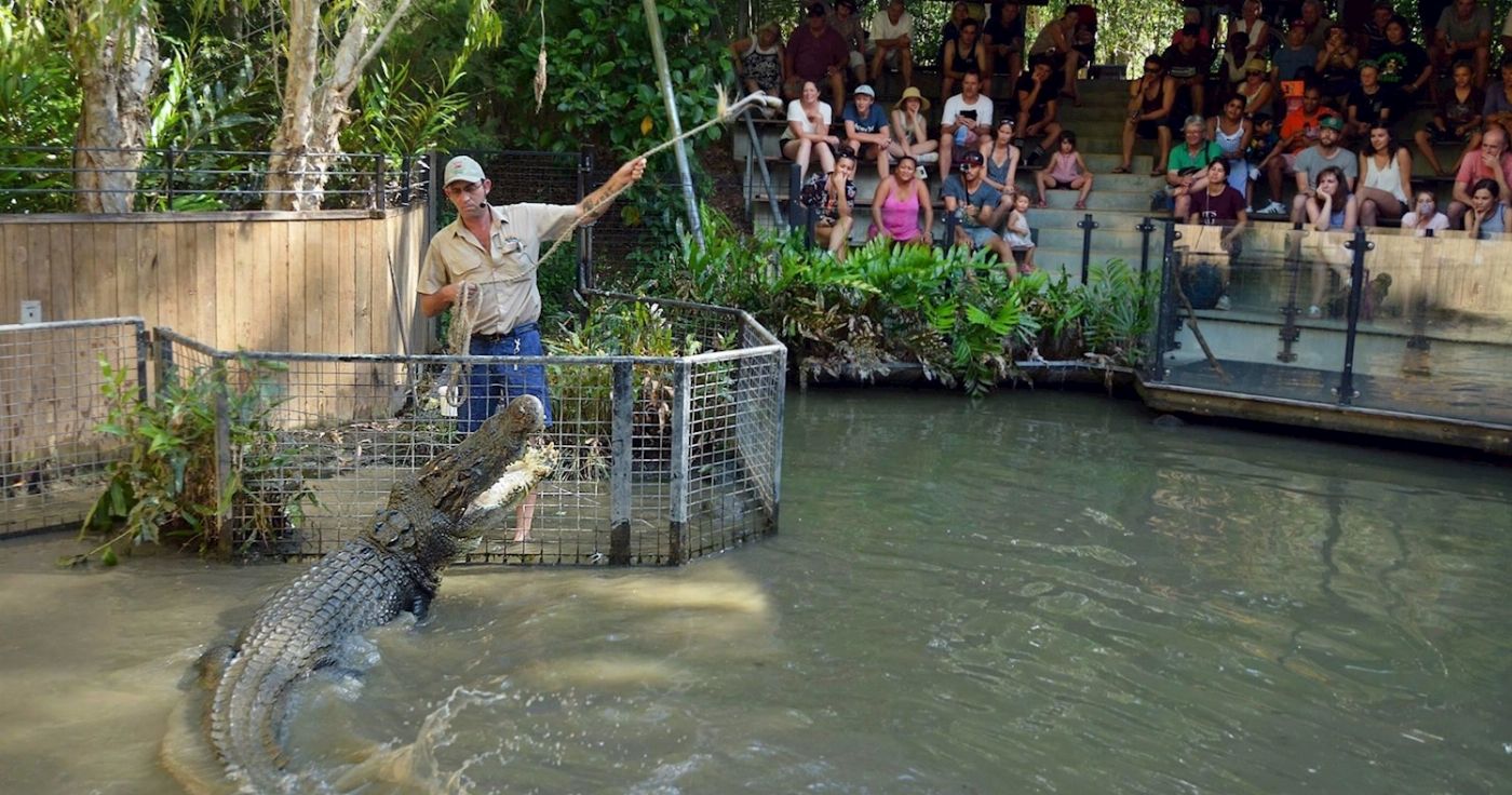 Hartley's Crocodile Adventures Entry with Return Transfers ex Palm Cove
