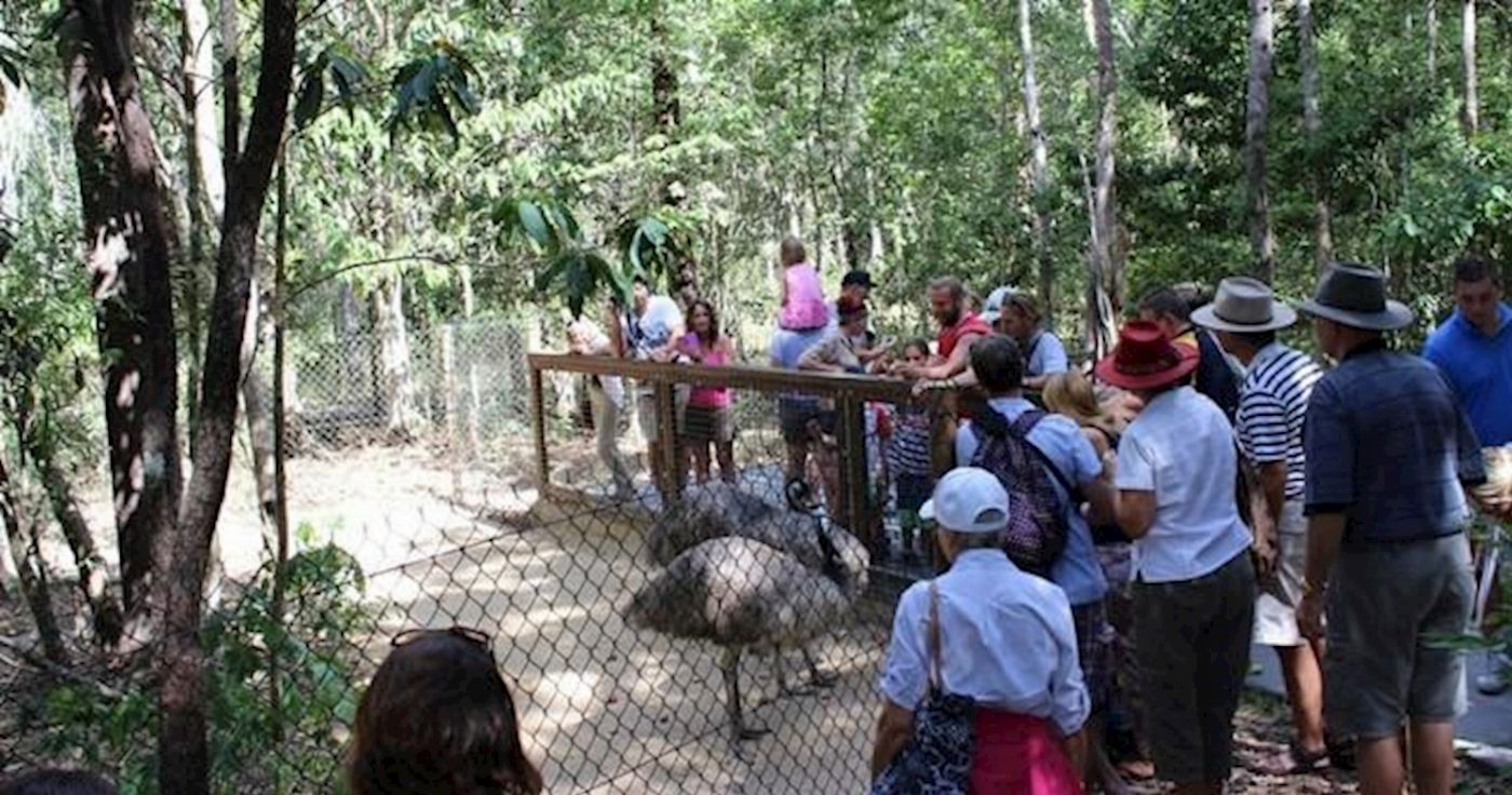 Hartley's Crocodile Adventures Zootastic with Return Transfers ex Palm Cove