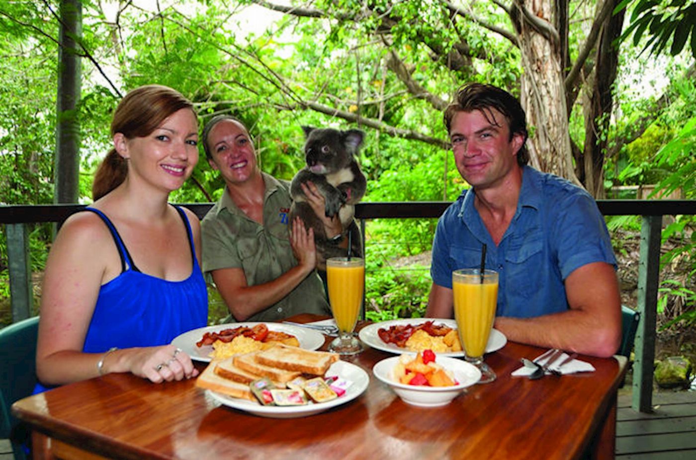 Hartley's Crocodile Adventures Breakfast with the Koalas with Return Transfers from Palm Cove