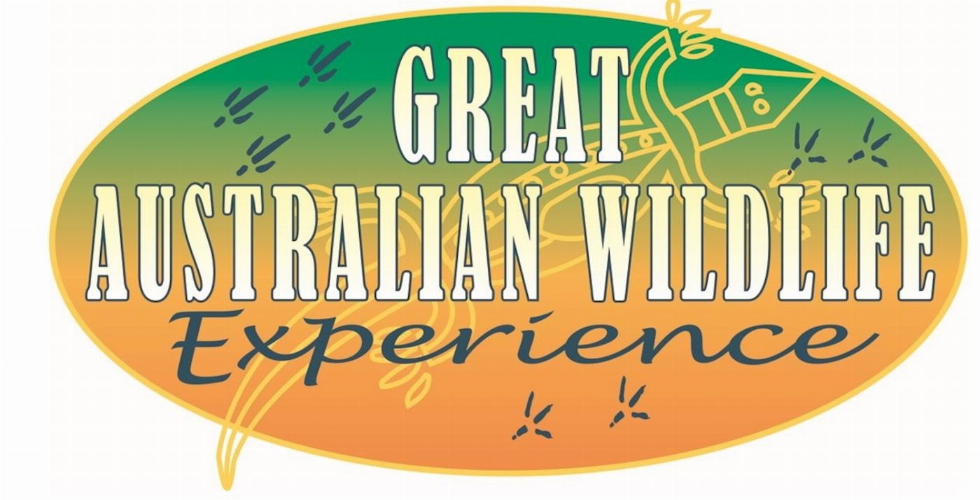 Hartley's Crocodile Adventures Great Australian Wildlife Experience - Self Drive