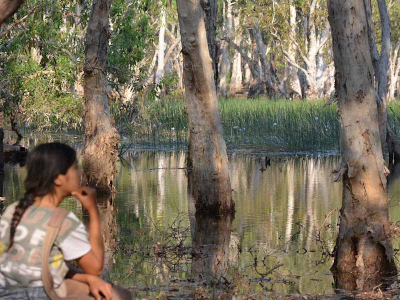 Ethical Adventures NT Waterfalls Paradise - Litchfield Regional Tour