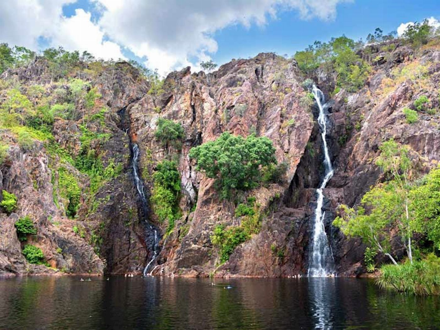 Ethical Adventures NT Waterfalls Paradise - Litchfield Regional Tour