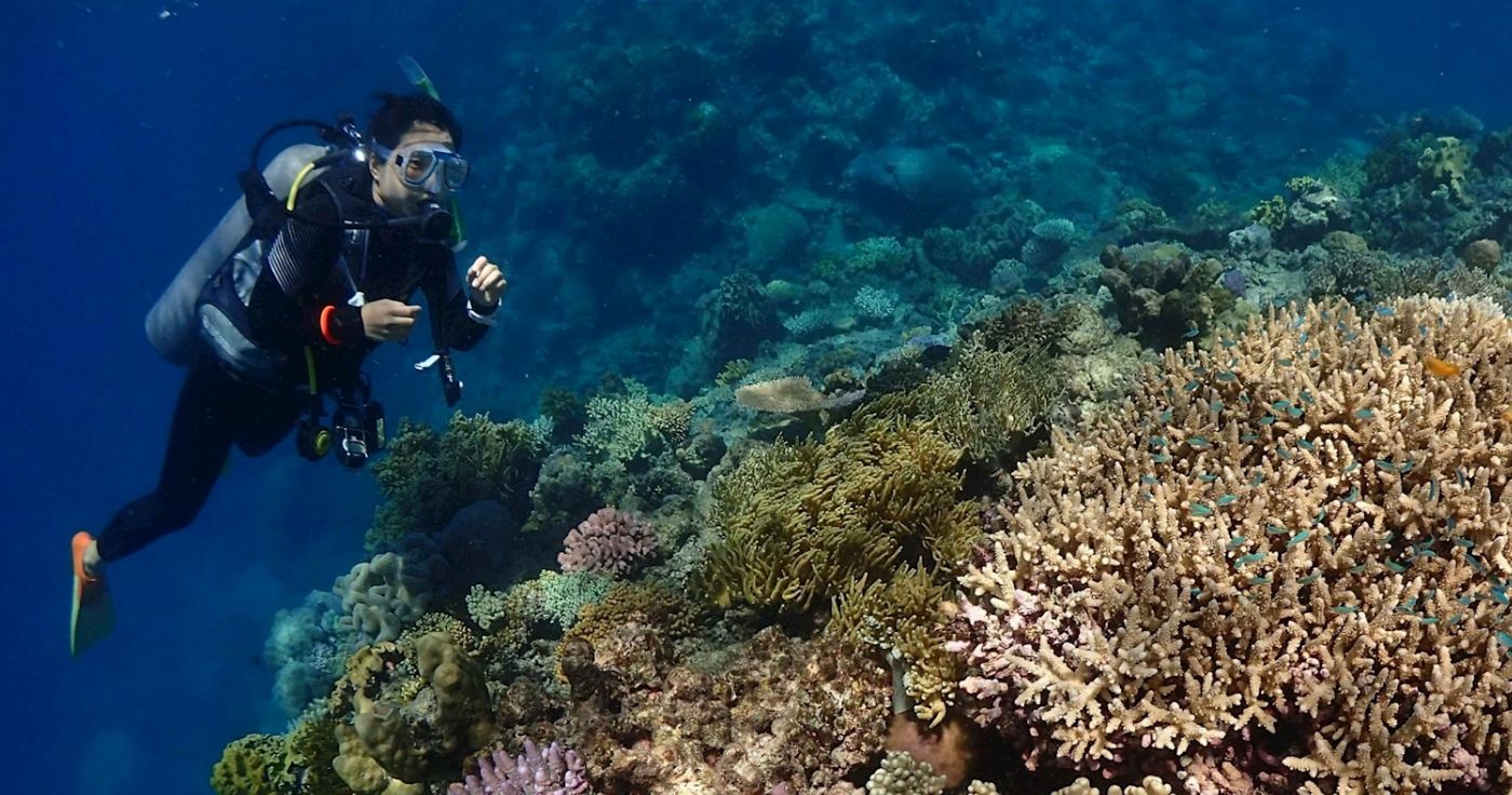 Rum Runner Great Barrier Reef Liveaboard - Snorkelling