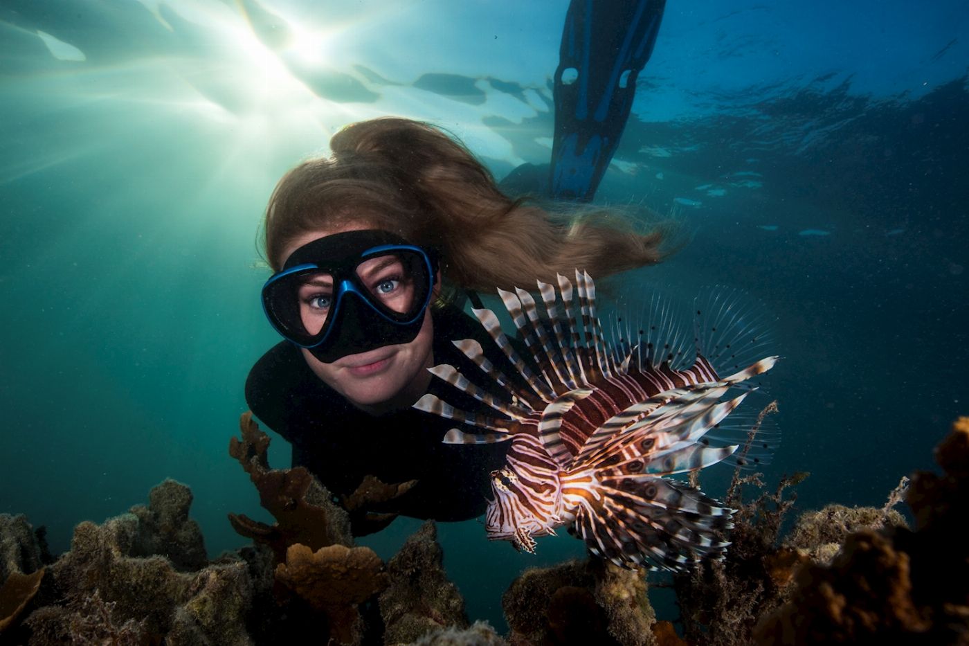 Down Under Cruise & Dive Evolution Outer Reef Cruise + Intro Dive