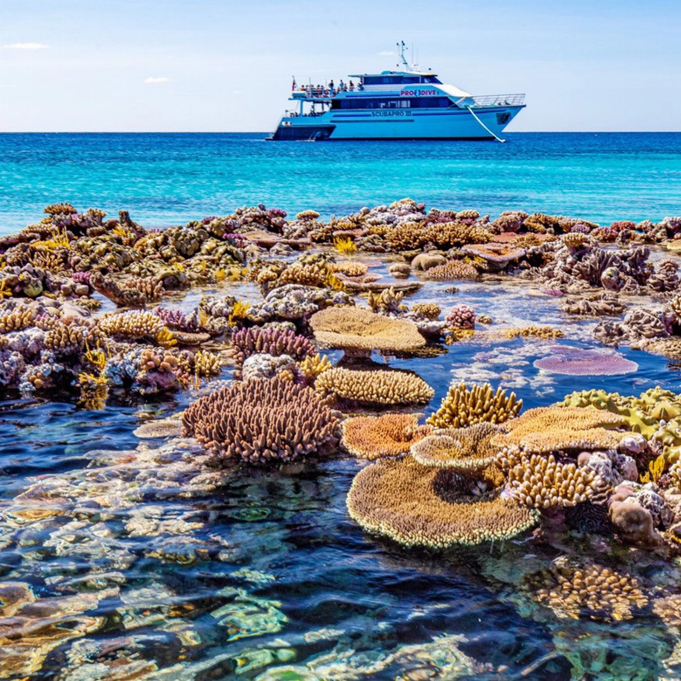 Pro Dive Cairns 3 Day/2 Night Liveaboard