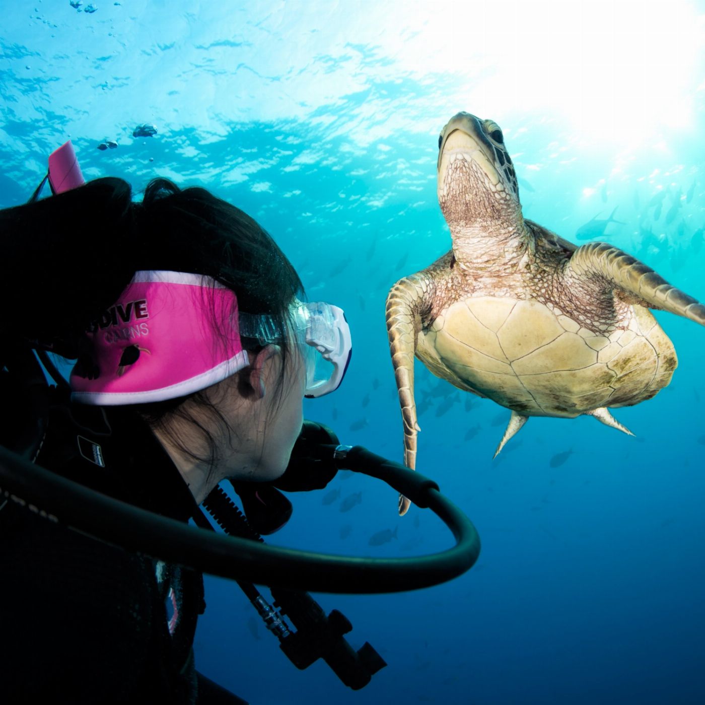 Pro Dive Cairns 3 Day/2 Night Liveaboard