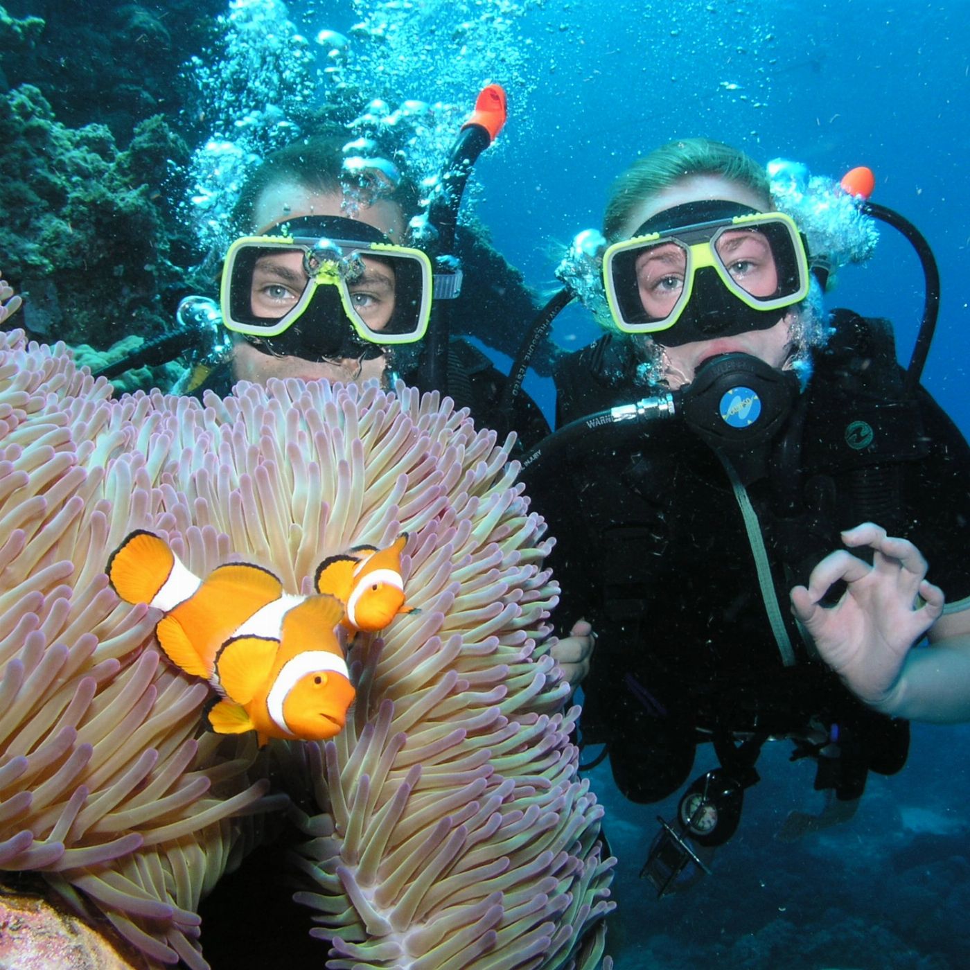 Pro Dive Cairns 3 Day/2 Night Liveaboard