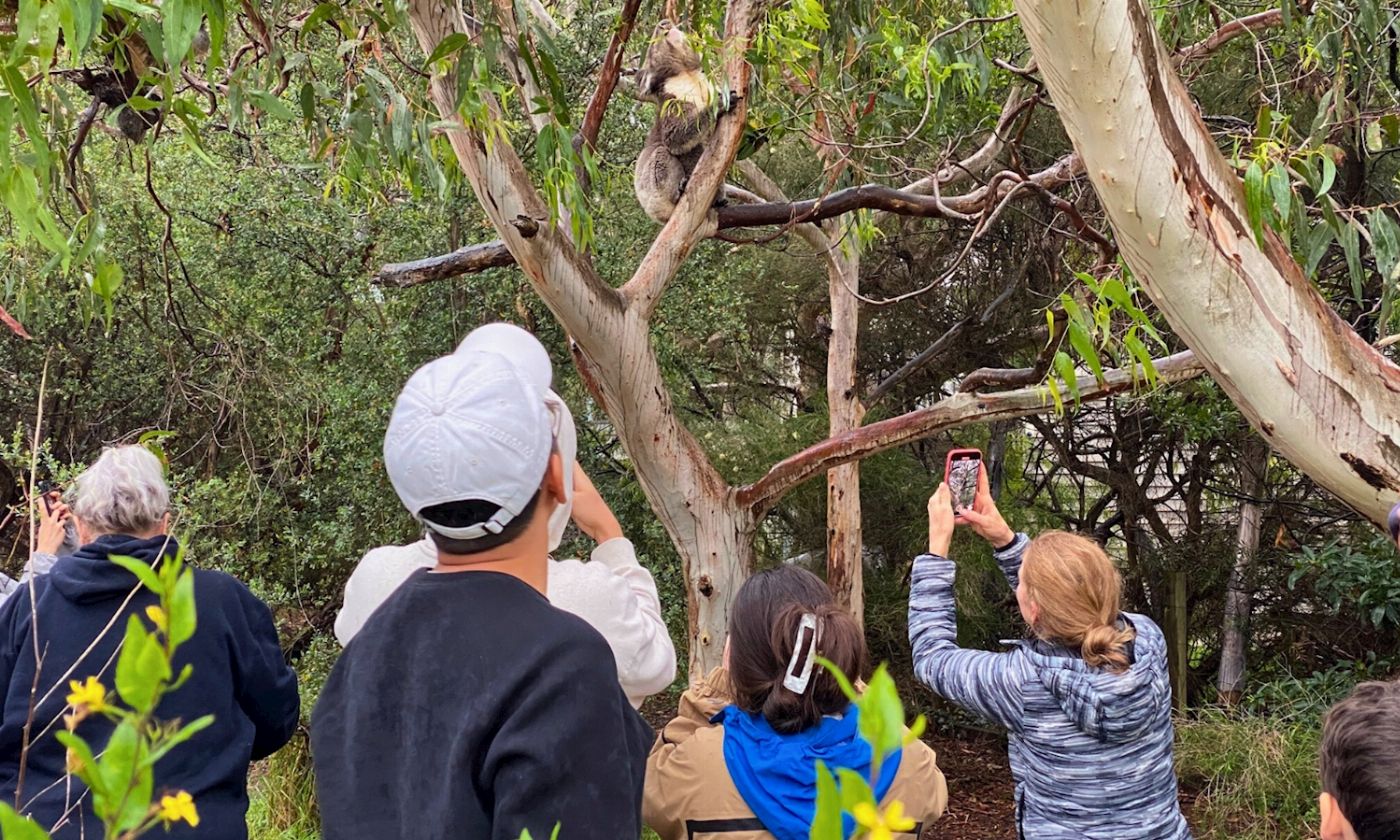 Go West Tours Great Ocean Road Sunset Tour