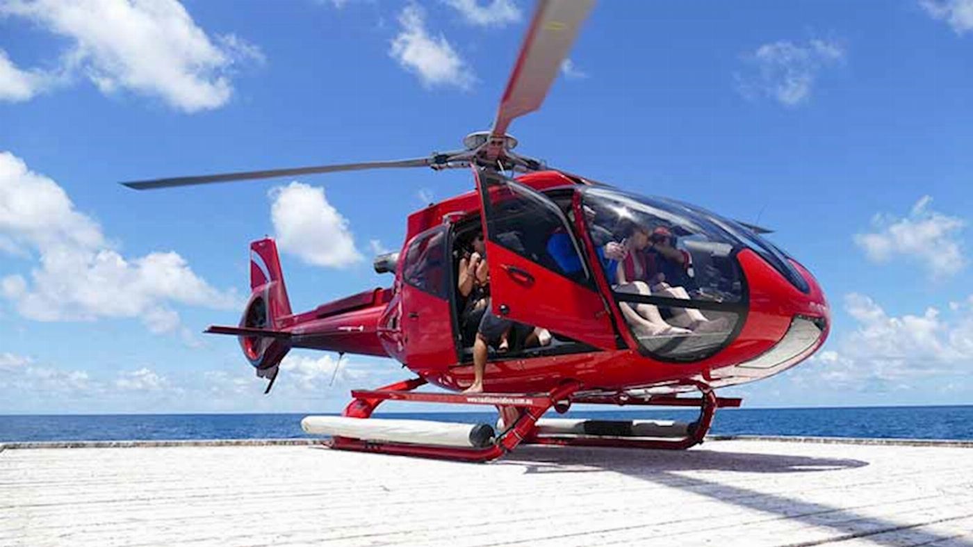 Down Under Cruise & Dive Fly / Cruise Half Day Trip