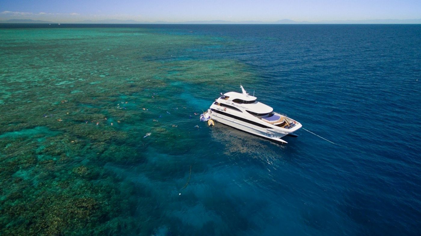 Down Under Cruise & Dive Cruise/Fly Full Day Reef Experience