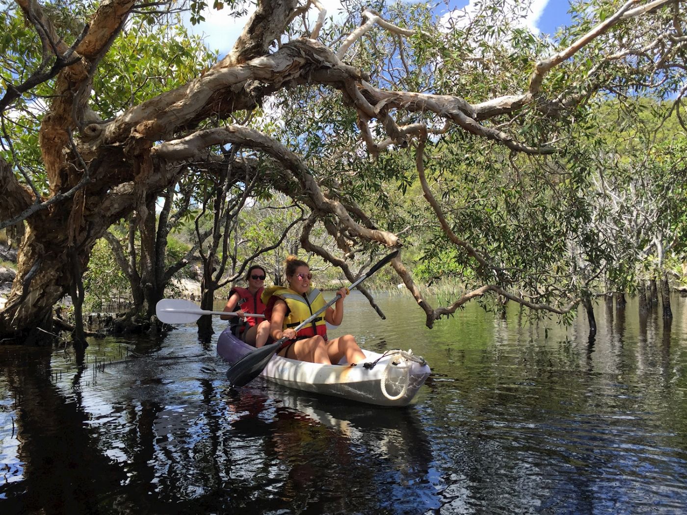 Tasman Venture Remote K'gari (Fraser Island) Experience