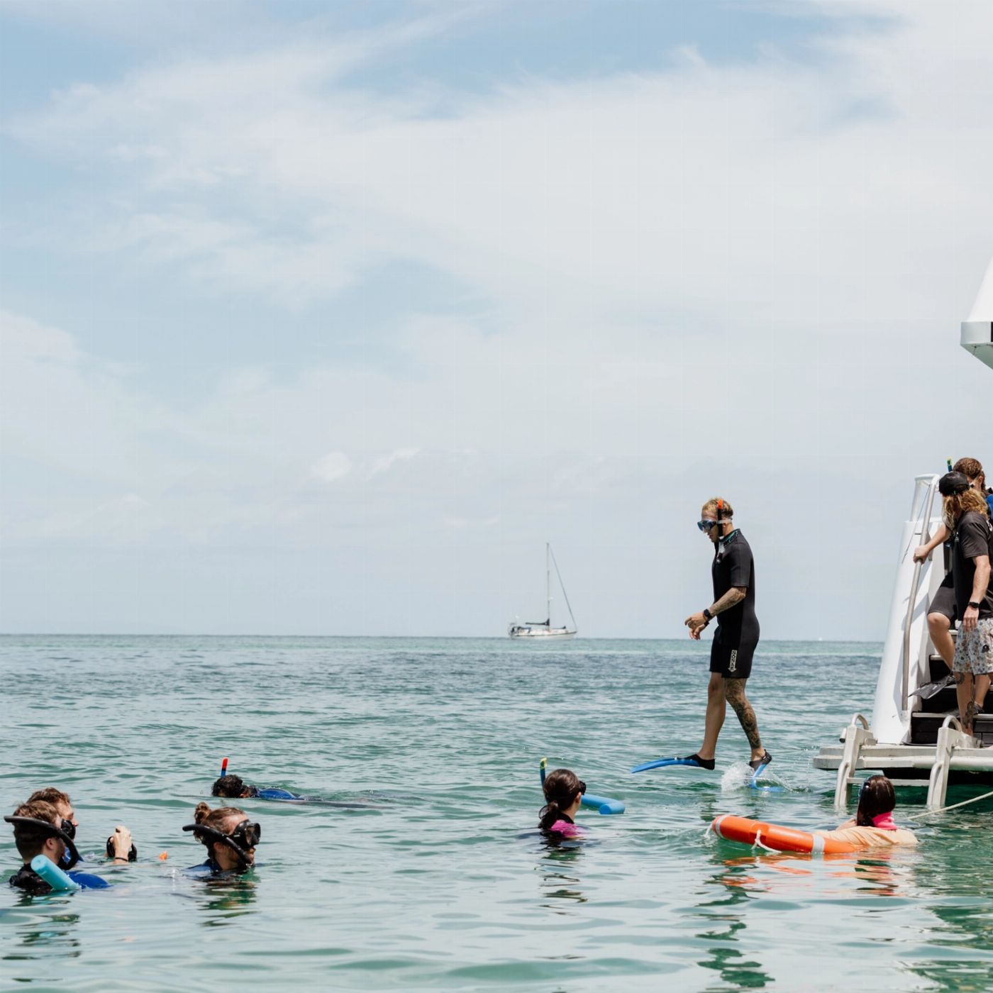 Dolphin Wild Island Cruises Eco Marine Safari Cruise and Snorkel