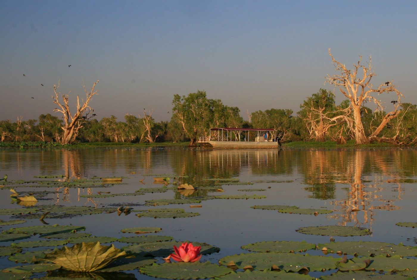 Corroboree Billabong Wetland Cruises - Sunset Cruise Self Drive - 4.30pm