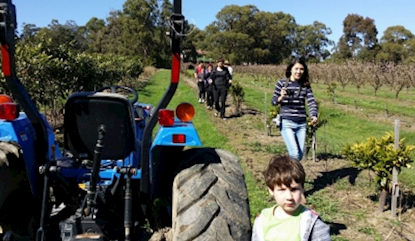 Around And About Rayner’s Orchard