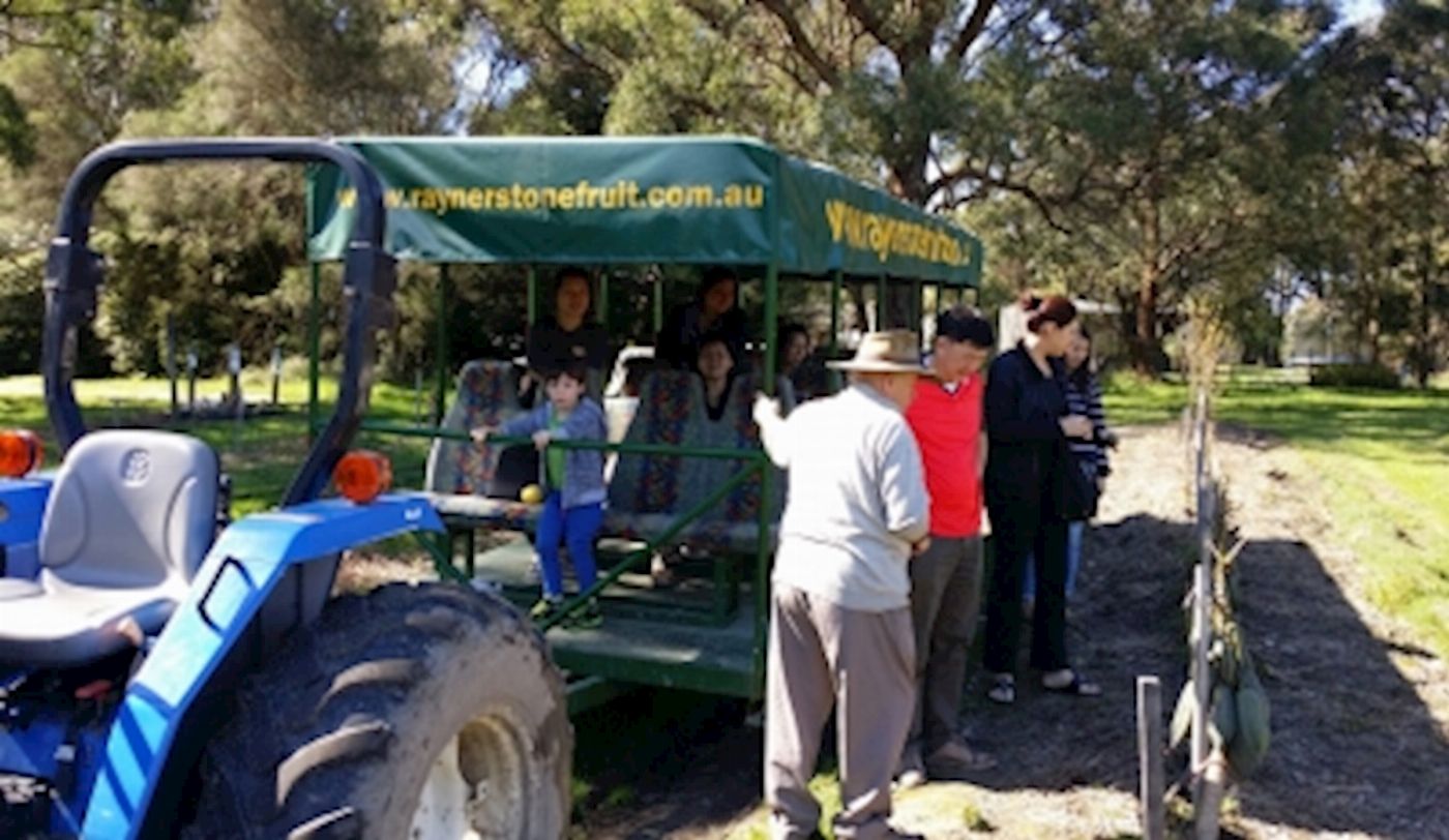 Around And About Rayner’s Orchard