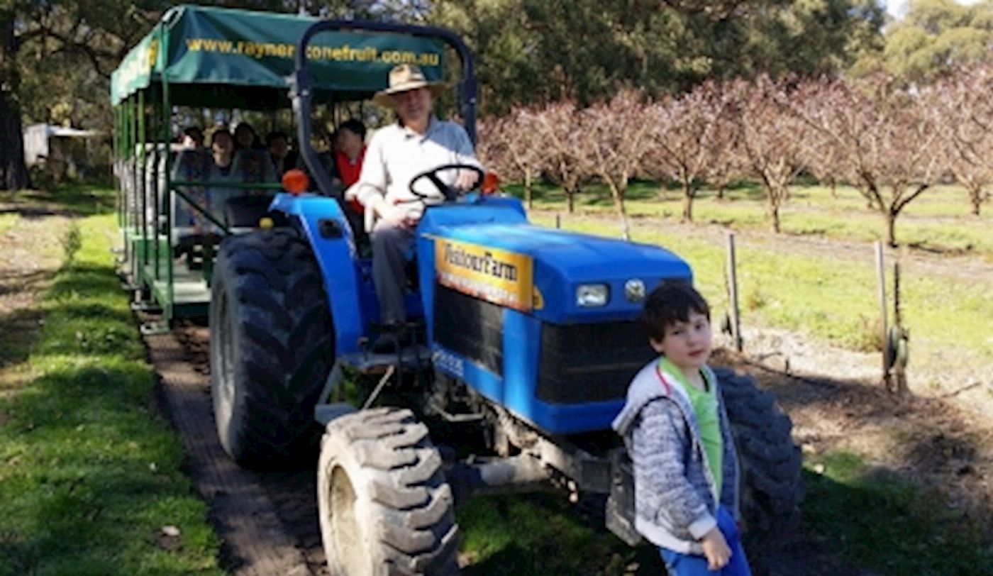 Around And About Rayner’s Orchard