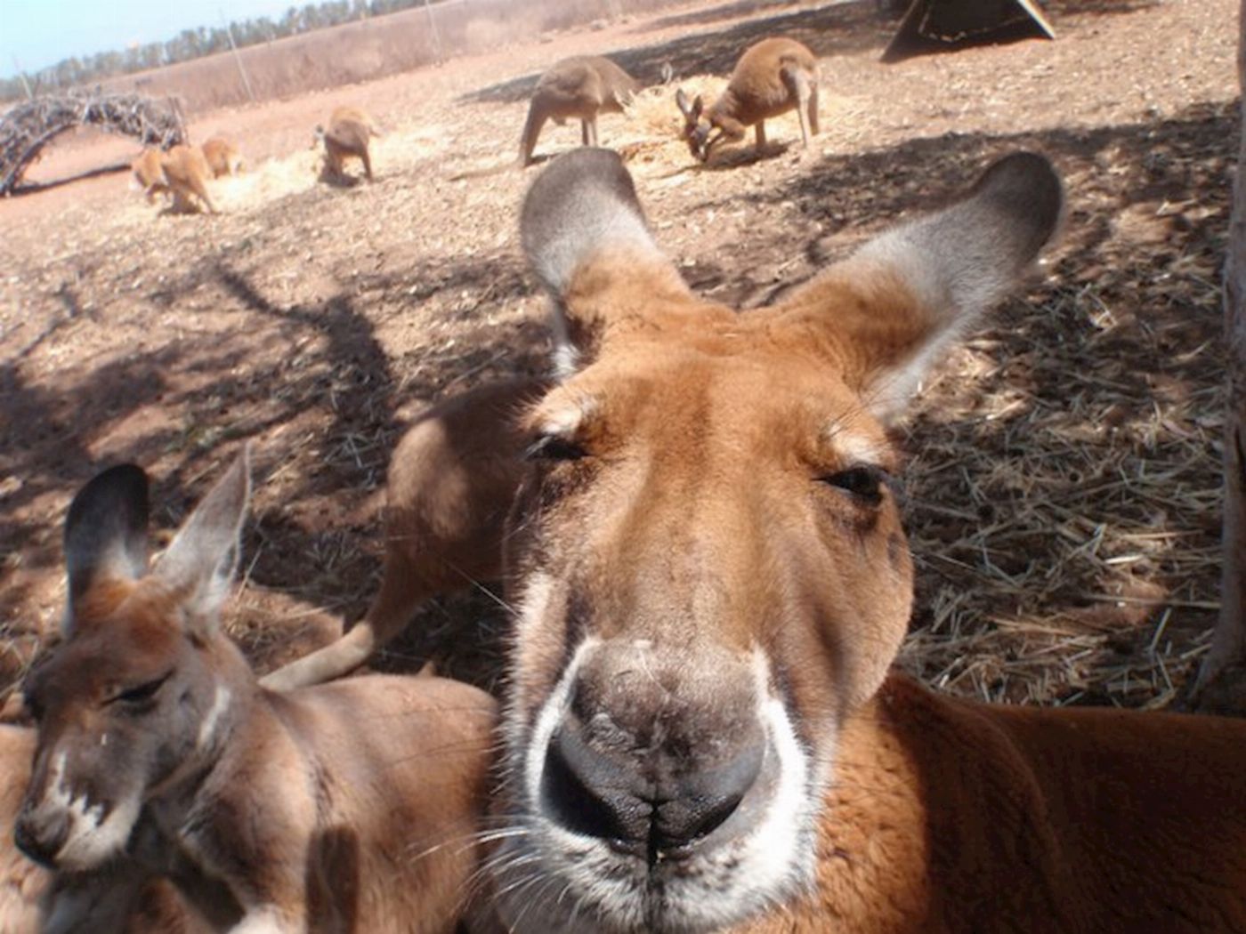 Red Earth Safaris Perth to Exmouth One Way