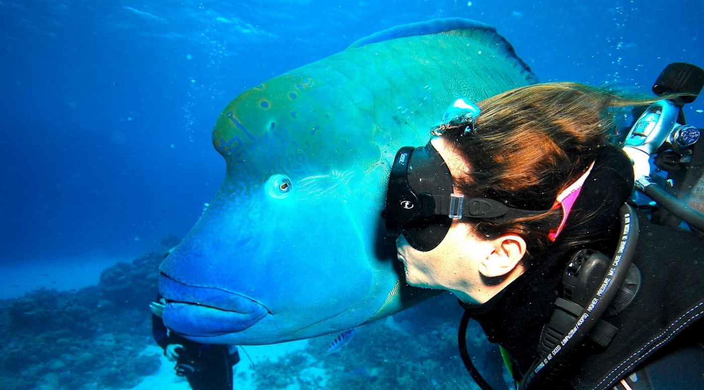 Spirit of Freedom Cod Hole & Ribbon Reef 3 Night Liveaboard