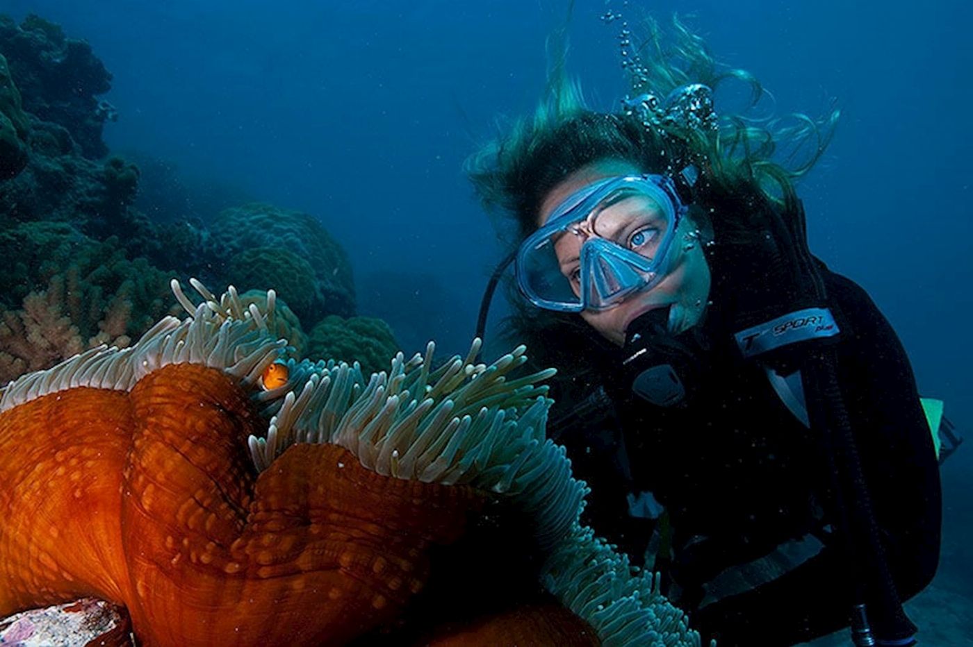 Spirit of Freedom Cod Hole & Ribbon Reef 3 Night Liveaboard