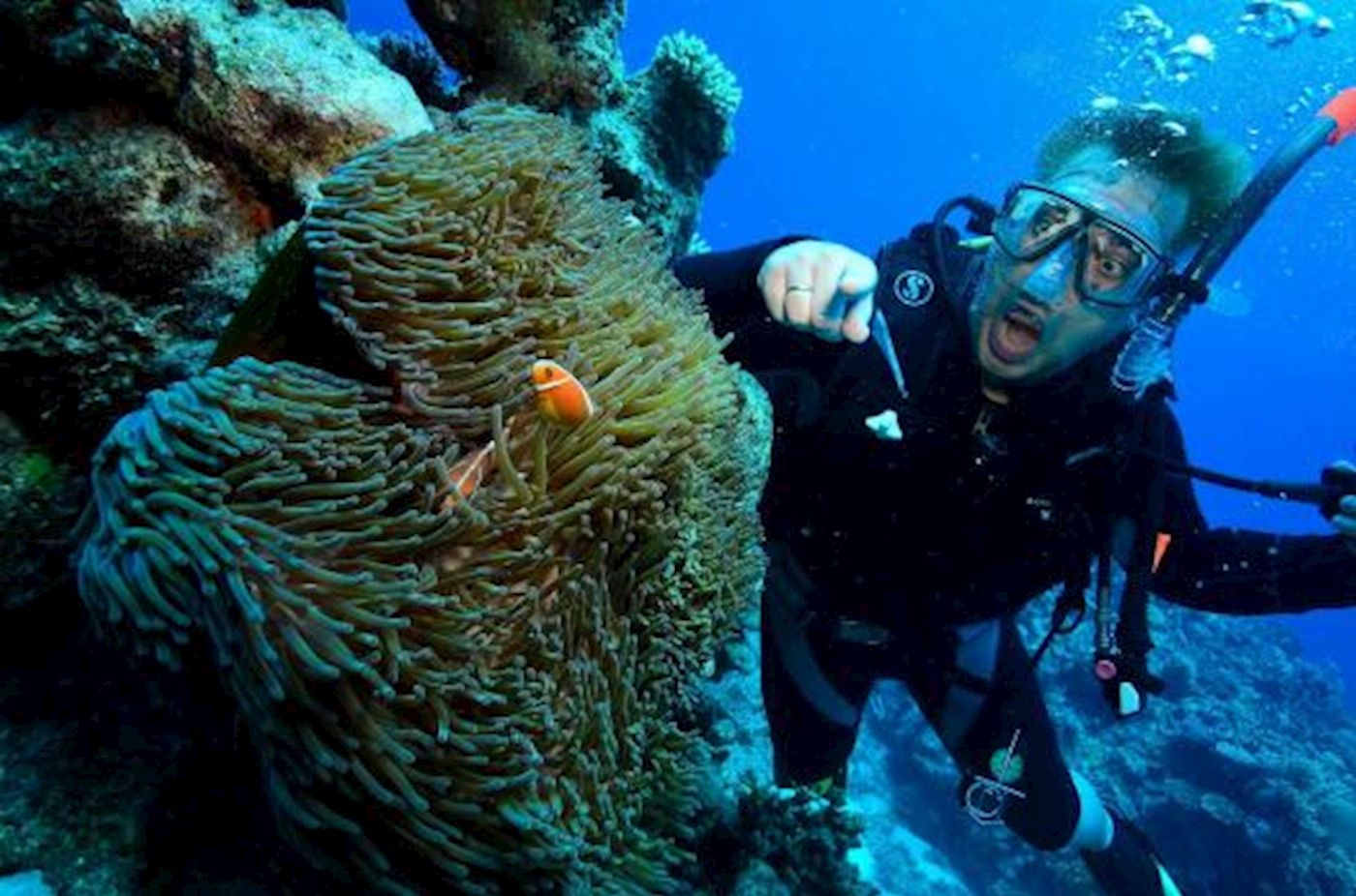Spirit of Freedom Cod Hole & Ribbon Reef 3 Night Liveaboard