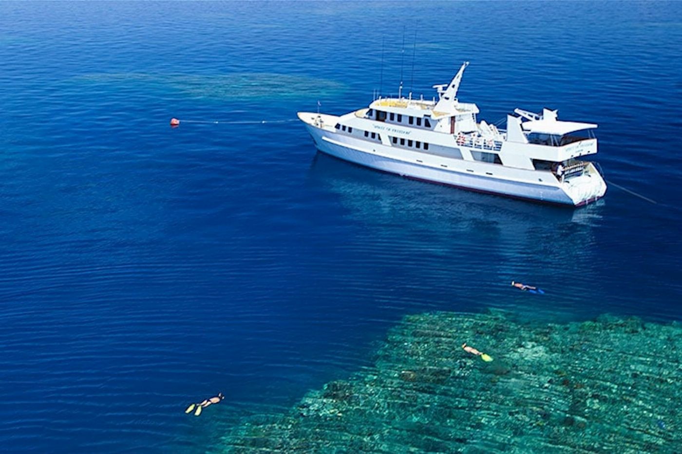 Spirit of Freedom Cod Hole & Ribbon Reef 3 Night Liveaboard