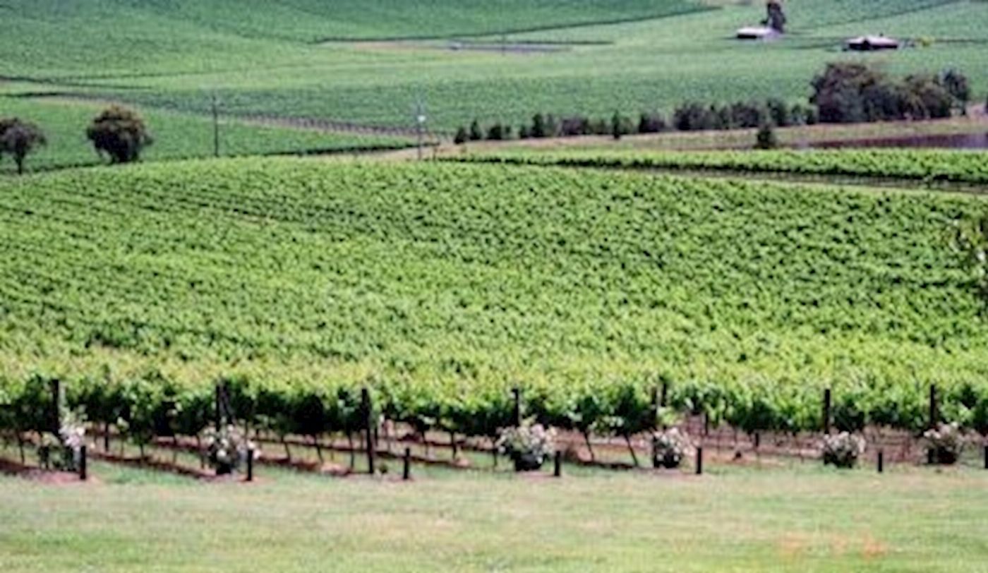 Around And About Yarra Valley Wine Tasting