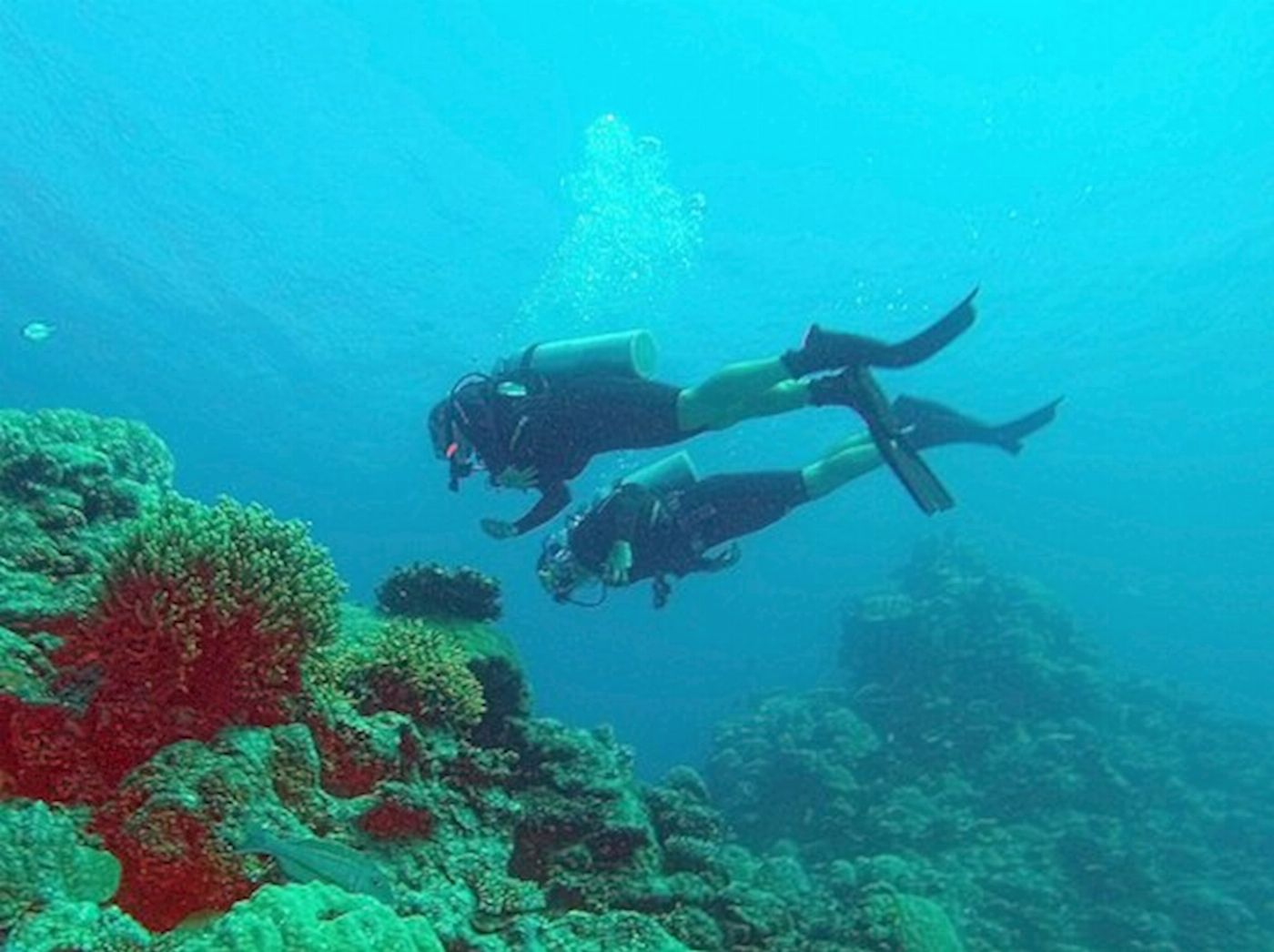 Divers Den Scuba Refresher