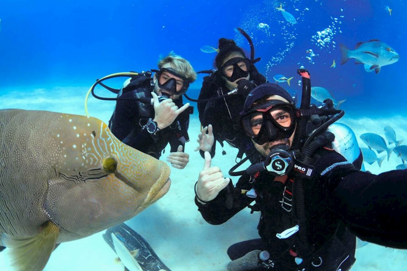 Divers Den Scuba Refresher