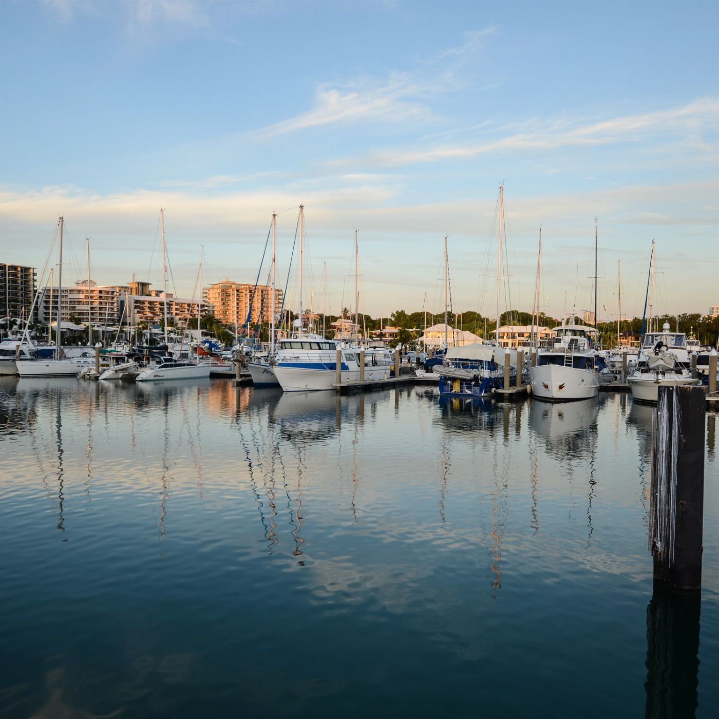 Big Bus Tours Big Bus Darwin (Premium)