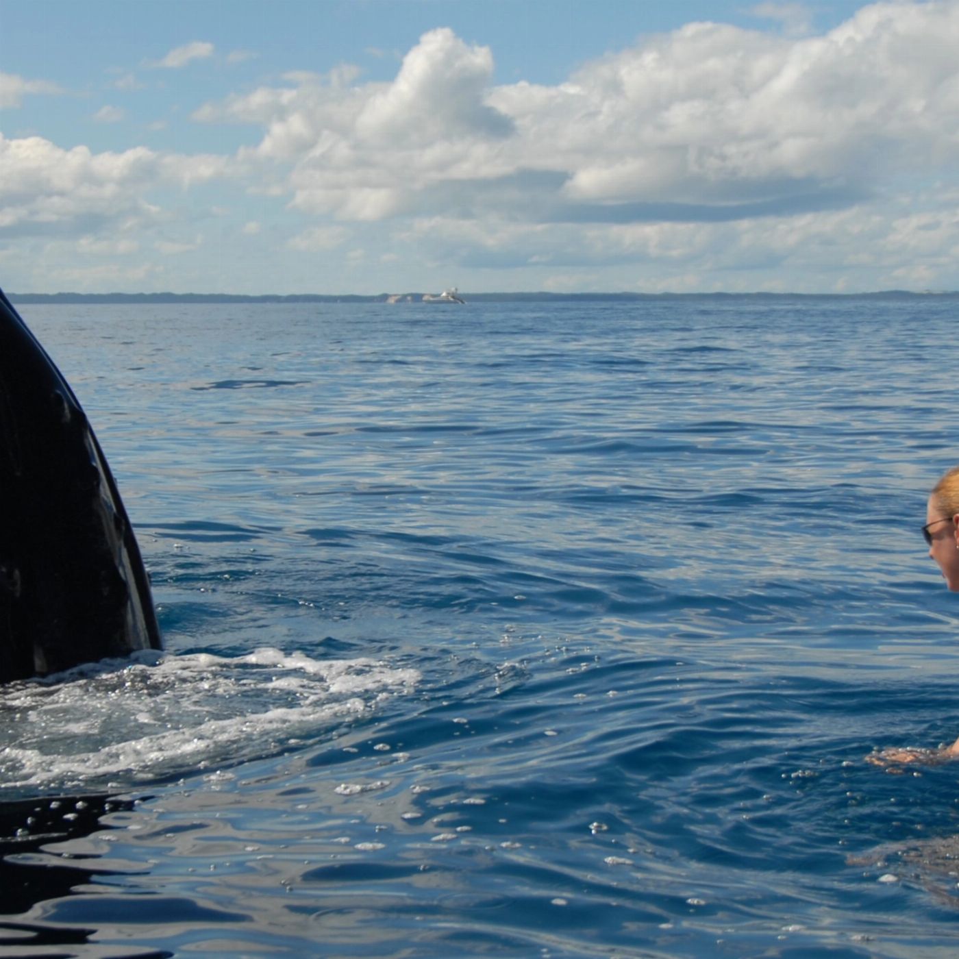 Blue Dolphin Marine Tours Exclusive Whale Watching Encounter (Family Package - 2 Adults/2 Children)