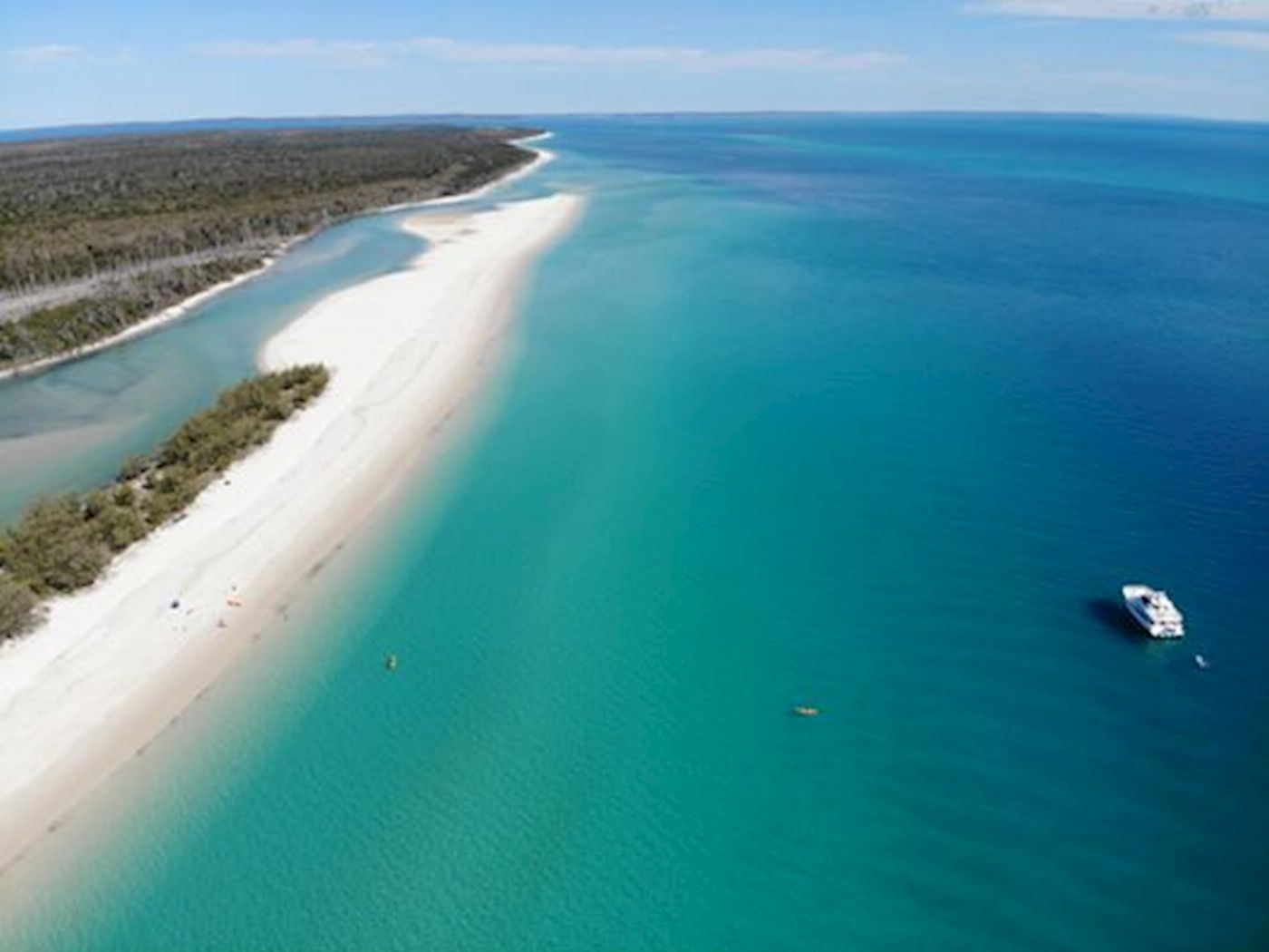 Whalesong Cruises Fraser Island Beach + BBQ Cruise