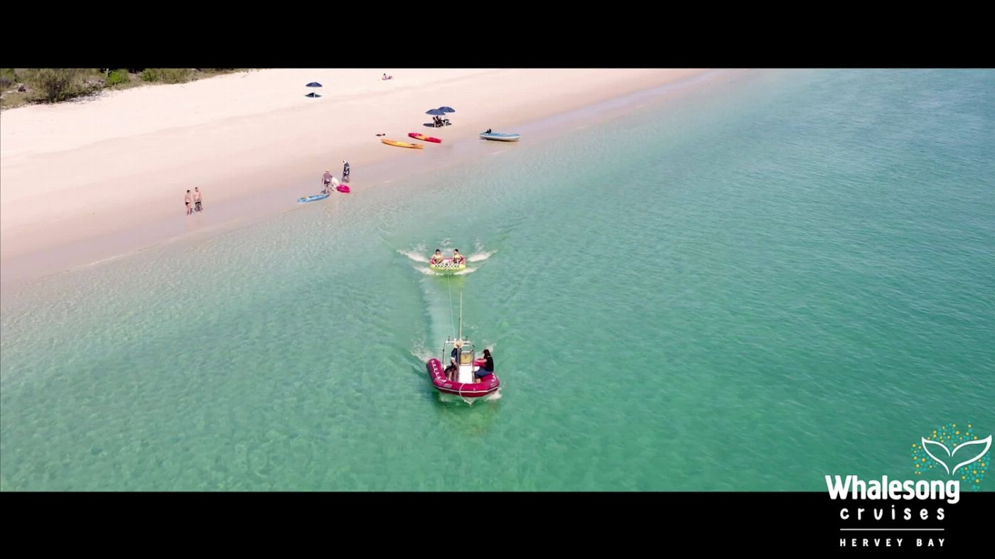 Whalesong Cruises Fraser Island Beach + BBQ Cruise